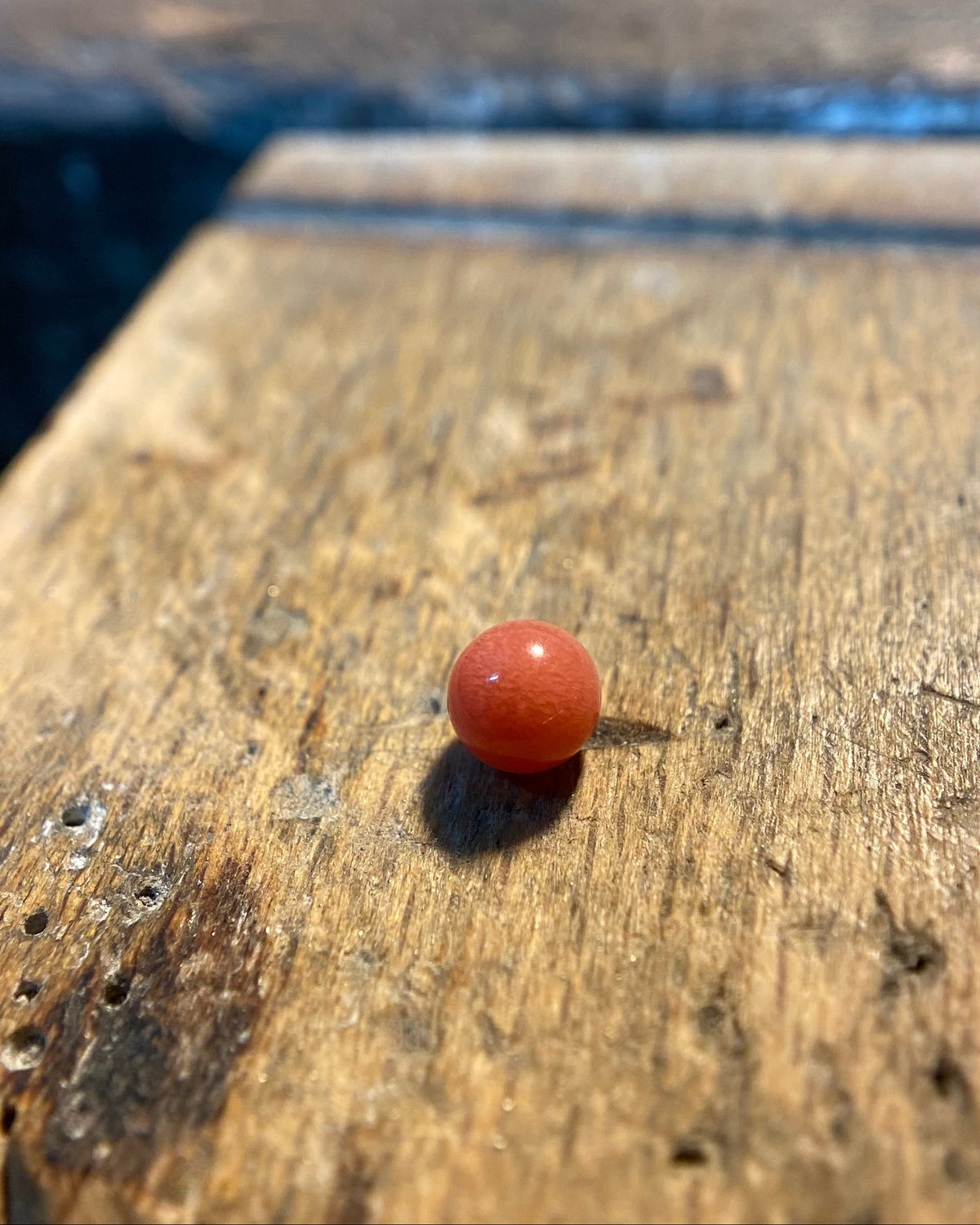 loose conch pearl for sell