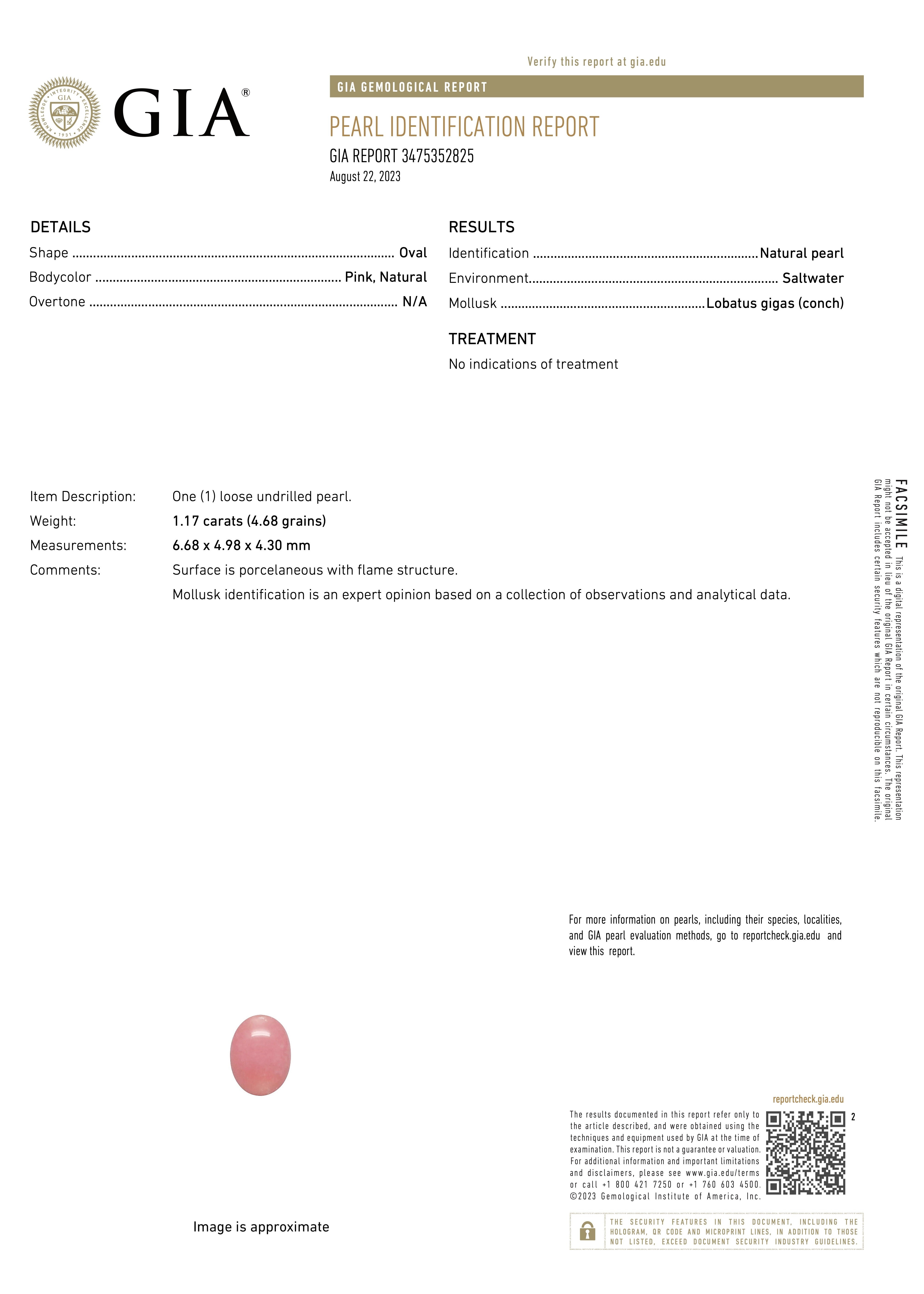 GIA certificate for Natural conch pearl