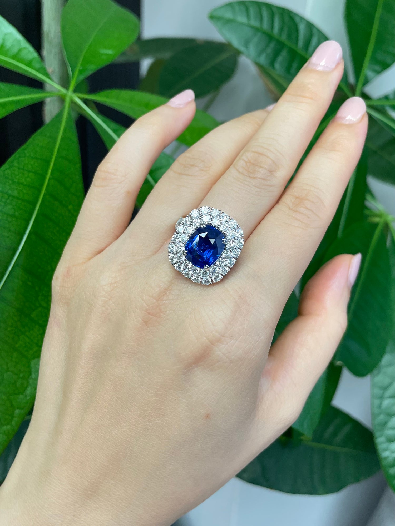 Blue Sapphire and Diamond Double Halo Ring - HN JEWELRY