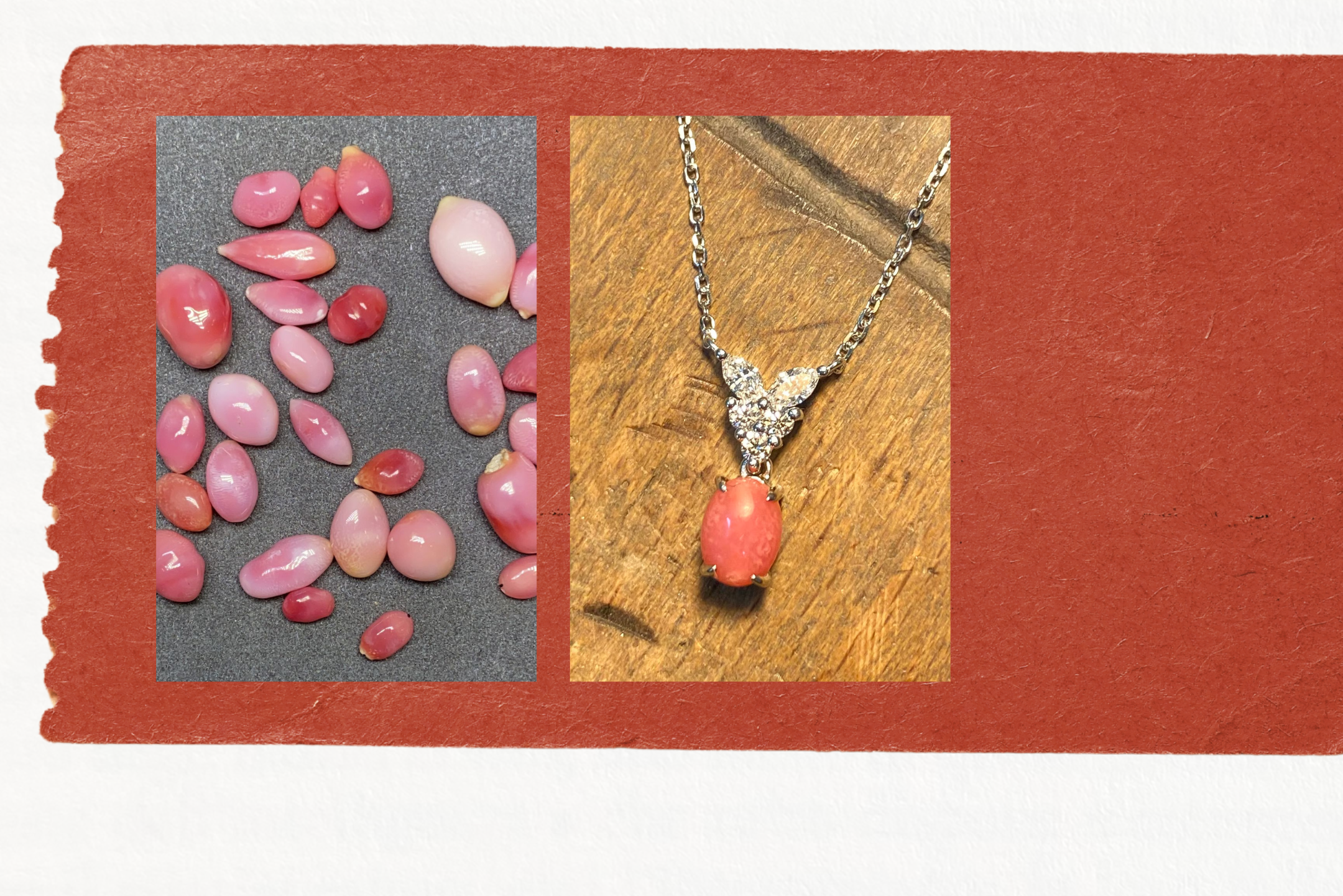 The Ultimate Guide to Conch Pearls: Rarity, Value, and the Iconic Flame Pattern